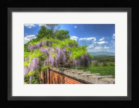 Framed Blithwood 4 Print