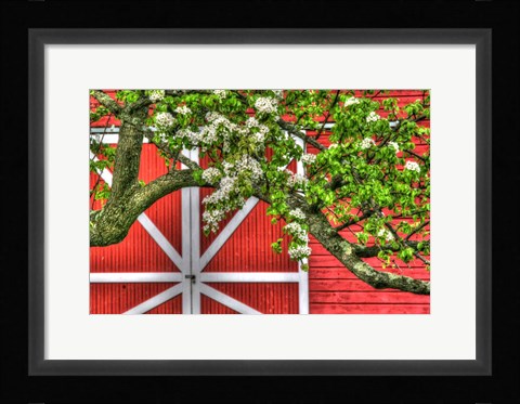 Framed Butterville Barn Print