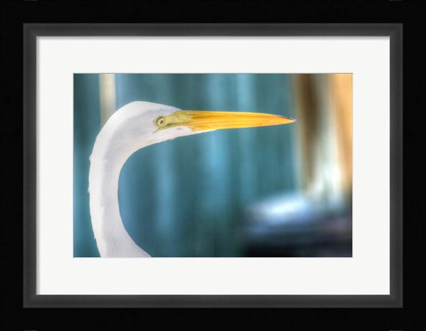 Framed Egret CU Print