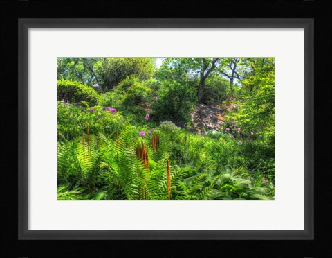 Framed Garden Hillside Print