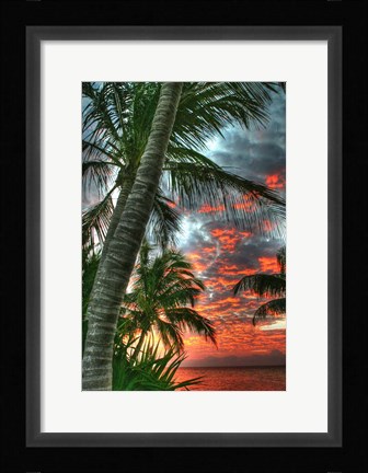 Framed Key West Palm Sunrise Vertical Print
