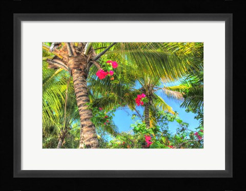 Framed Key West Pink Flowers Palm Print