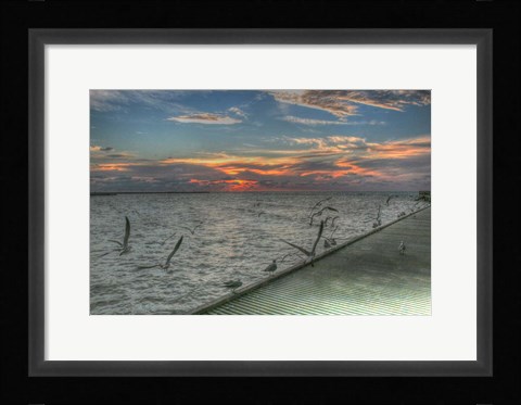 Framed Key West Sunrise Gulls and Pier Print