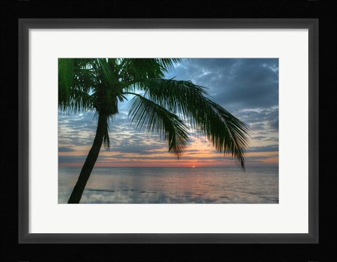 Framed Key West Sunrise One Palm Print