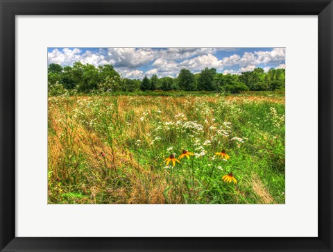Framed Late Summer Meadow Print