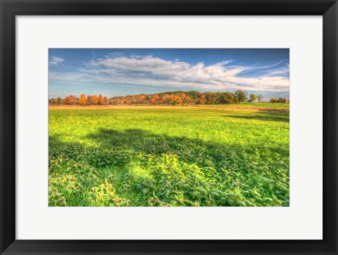 Framed Meadow Early Autumn Print