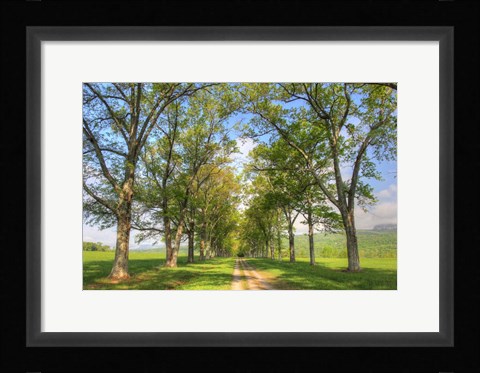 Framed Mohonk III Print