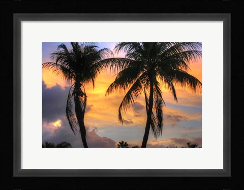 Framed Key West Two Palm Sunrise Print