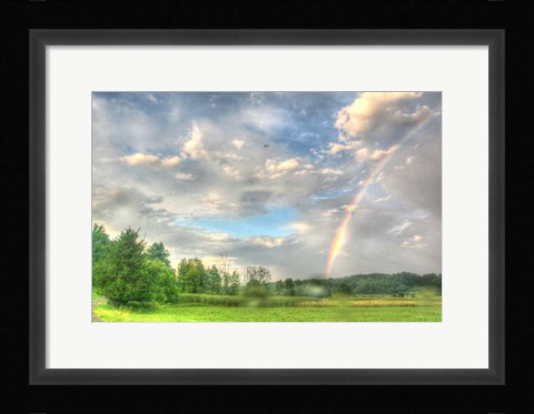 Framed Rainbow and Heron Print