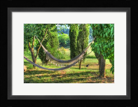 Framed Tuscan Hammocks and Cat Print