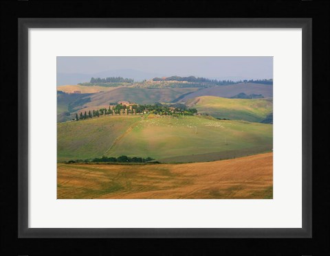 Framed Tuscan Hill Sheep Print