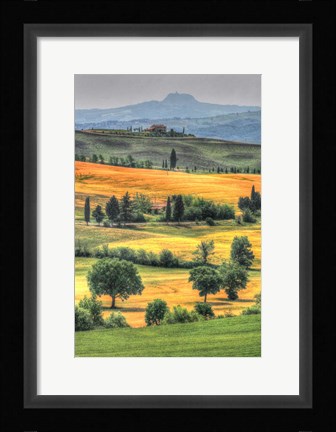 Framed Tuscan Vertical Switchbacks Print