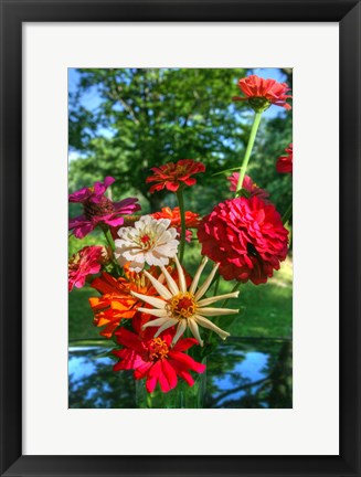 Framed Zinnia Bouquet Print