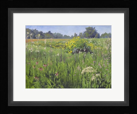 Framed Summer Meadows Print