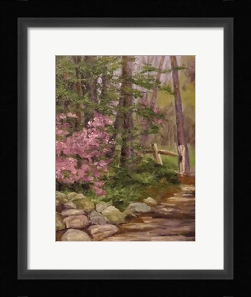 Framed Pink Spendor Print