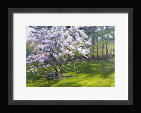Framed Magnolia Print
