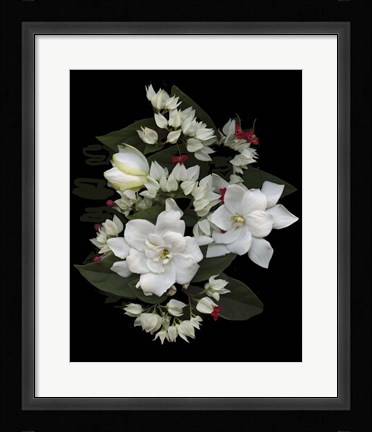 Framed Bleeding Hearts &amp; Gardenia Print