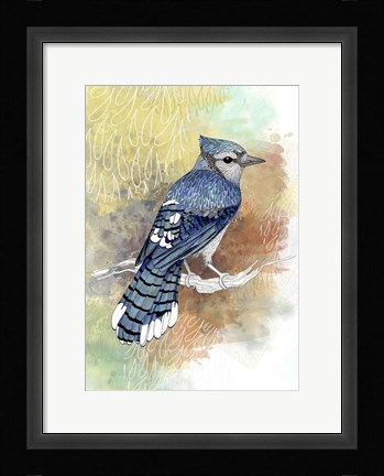 Framed Early Morning Jay Print