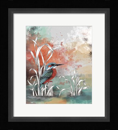 Framed Kingfisher Print