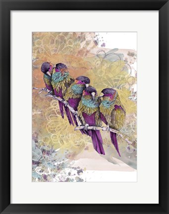 Framed Purple Parrots Print