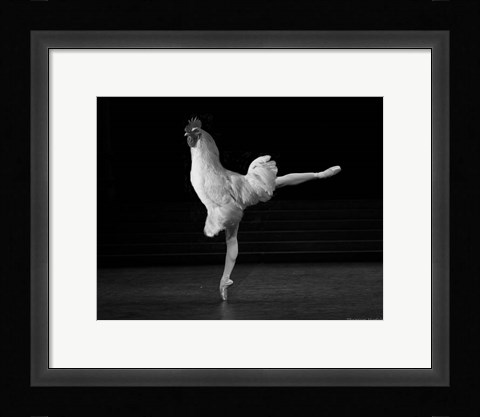 Framed Beautiful Cock Print