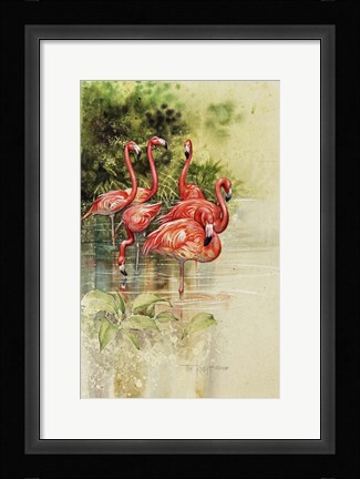 Framed Flamingo Paper Print