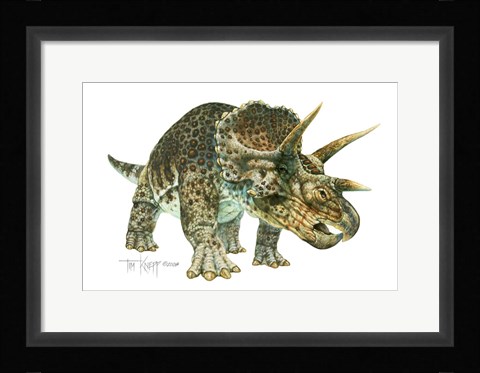 Framed Triceratops Print