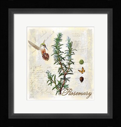 Framed Rosemary Herb Print
