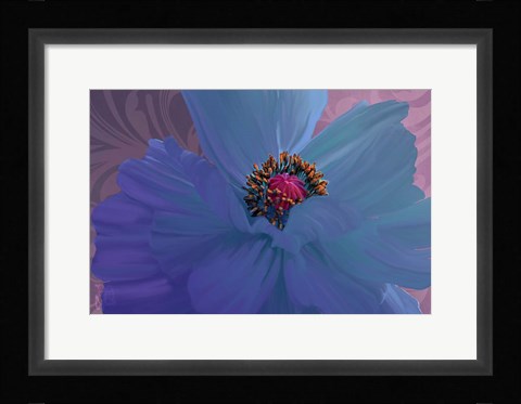 Framed Afterglow Print