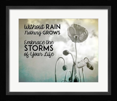 Framed Without Rain Nothing Grows Black and White Print