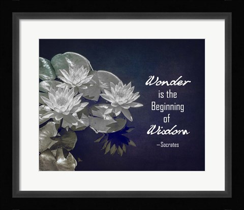 Framed Wonder is the Beginning of Wisdom Water Lily Black and White Print