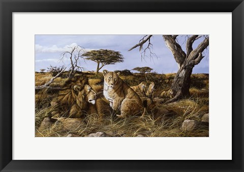 Framed Lazy in the Grass Print