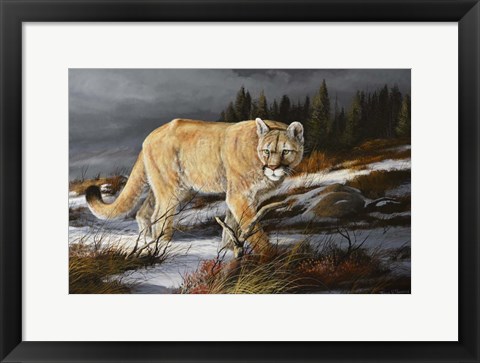 Framed Evening Hunter Print