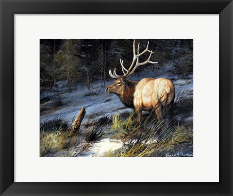 Framed Indomitable Print