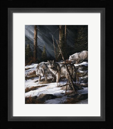 Framed Forest Shadows Print