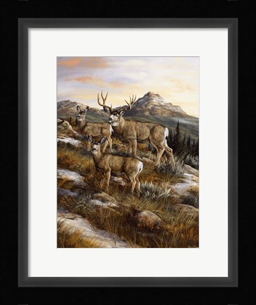 Framed Colorado Royalty Print
