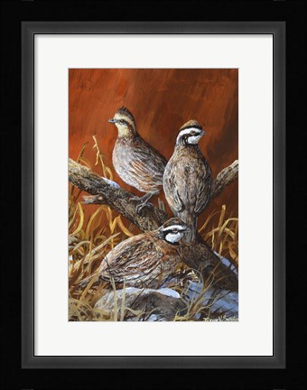 Framed Bobwhite Trio 4 Print