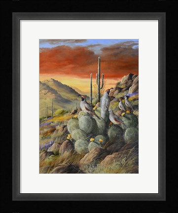 Framed Desert Refuge Print