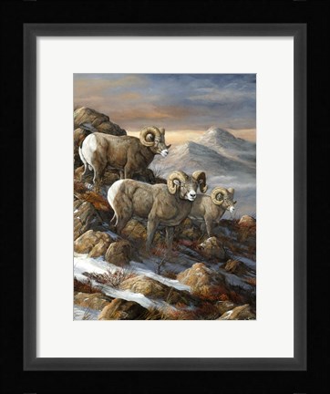 Framed High Country Trio Print