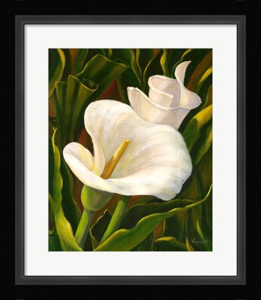 Framed Calla Lily Print