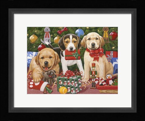 Framed Which One's Mine - Xmas Puppies Print