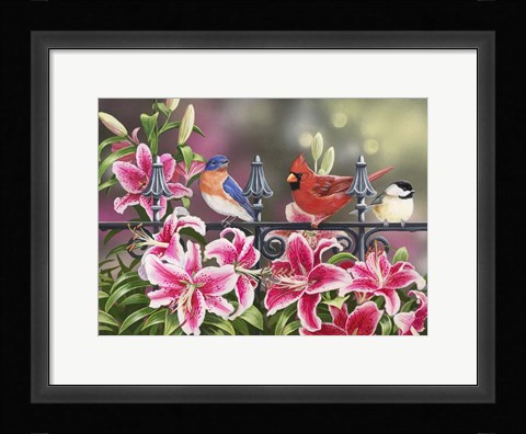 Framed Stargazers Print