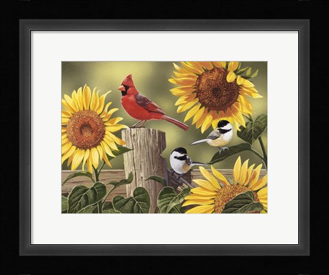 Framed Sunflowers and Songbirds Print