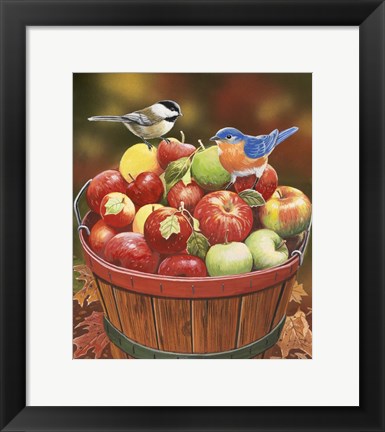 Framed Apple Harvest Print