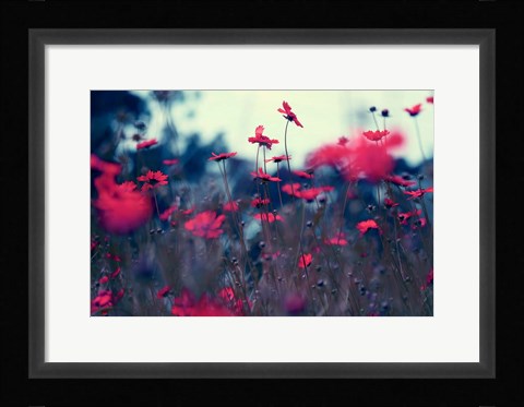 Framed Evening Tunes Print