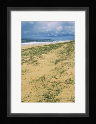 Framed Postcard  From Australia Print