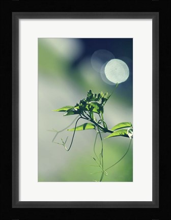 Framed Waking Up Print