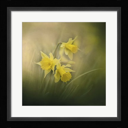 Framed Spring Morning Welcome Print
