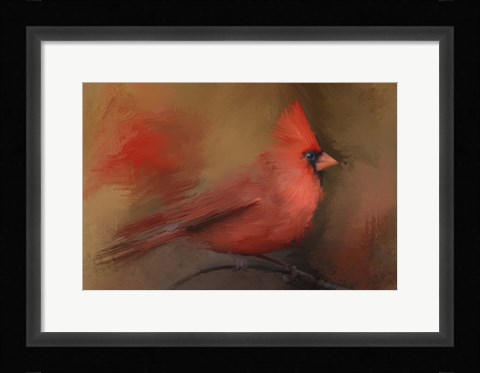 Framed America's Favorite Red Bird Print