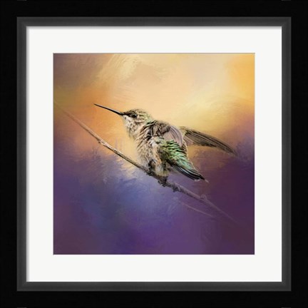 Framed Hummingbird At Sunset Print